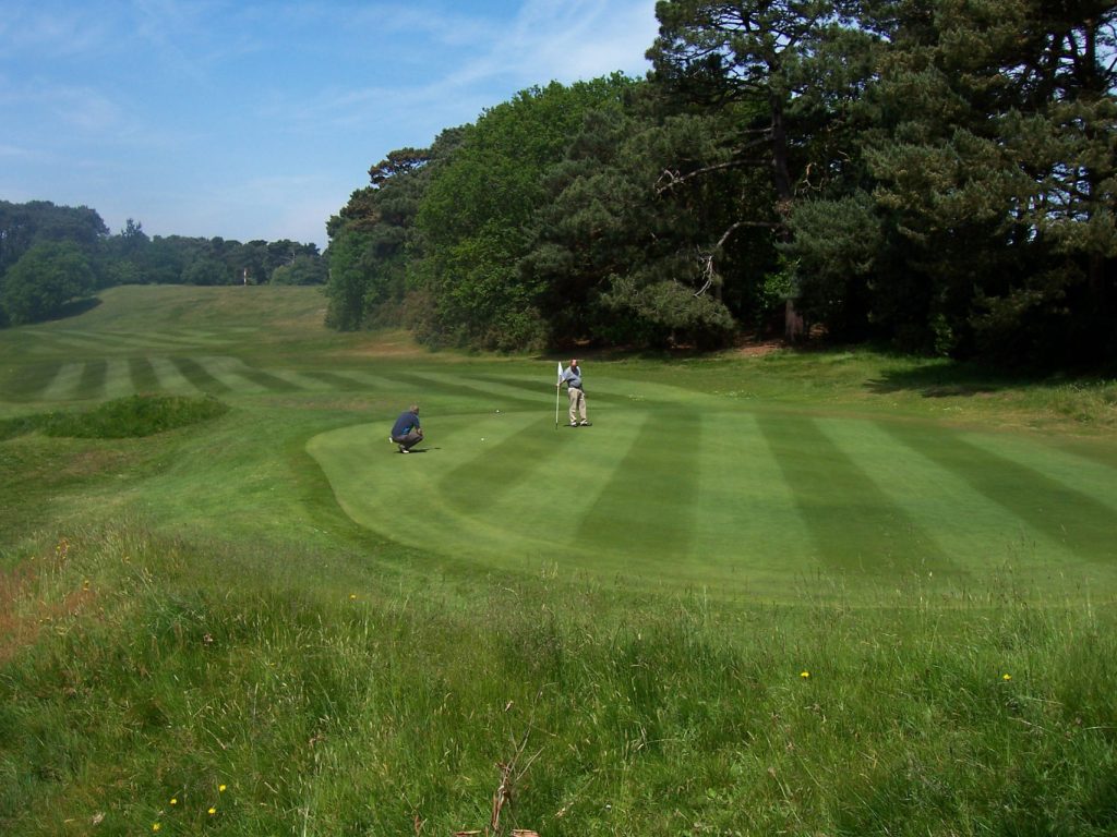 Sunny day at Meyrick Park